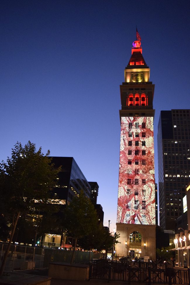 blood lines and solitons