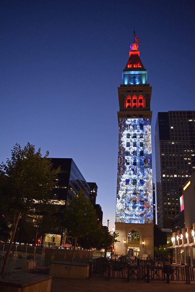 blood lines and solitons