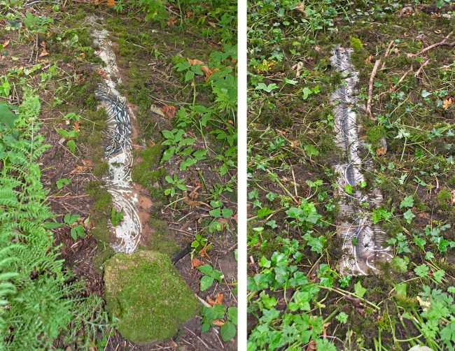 disentanglement (fragments)