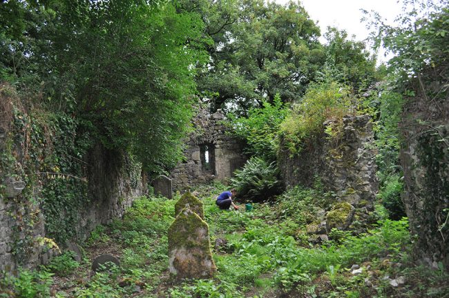 disentanglement (install view 1)