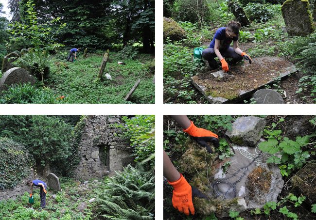 disentanglement (install views 2-5)