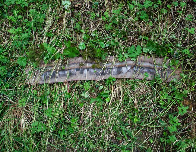 disentanglement (fragment)