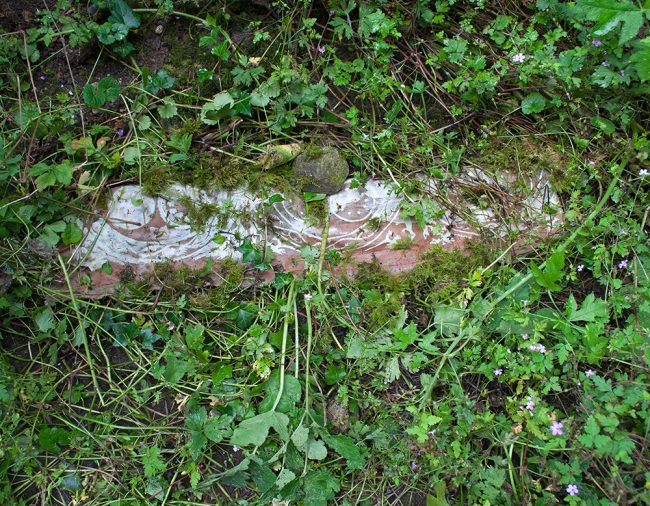 disentanglement (fragment)