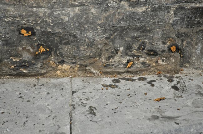 taking bread (aftermath)